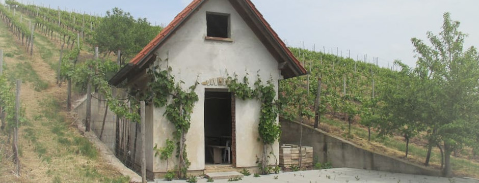 Ferienwohnung Weinsheim